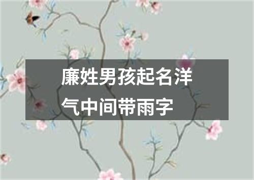 廉姓男孩起名洋气中间带雨字