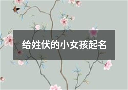 给姓伏的小女孩起名