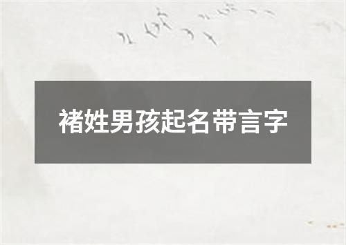 褚姓男孩起名带言字