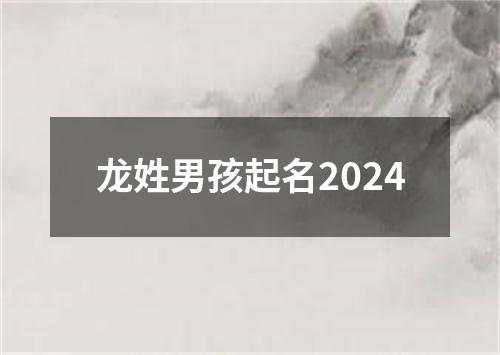 龙姓男孩起名2024