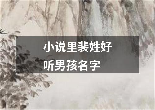 小说里裴姓好听男孩名字