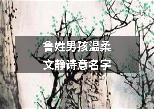 鲁姓男孩温柔文静诗意名字