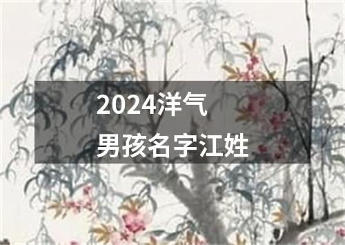 2024洋气男孩名字江姓