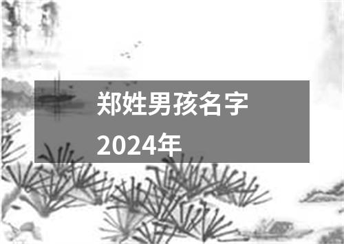 郑姓男孩名字2024年