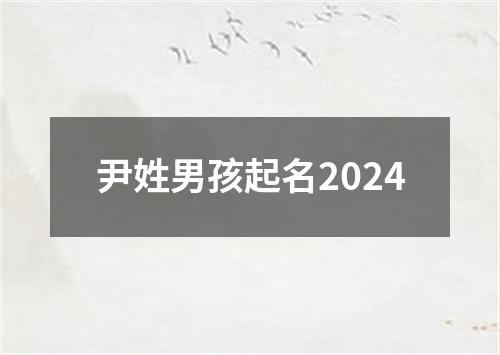 尹姓男孩起名2024