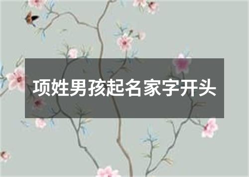 项姓男孩起名家字开头