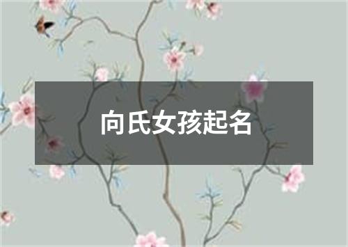 向氏女孩起名