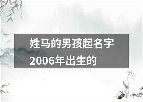 姓马的男孩起名字2006年出生的