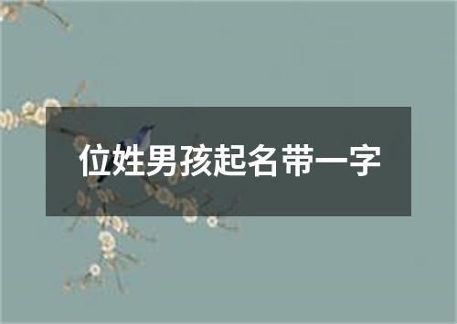 位姓男孩起名带一字