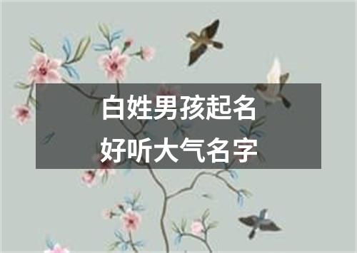 白姓男孩起名好听大气名字