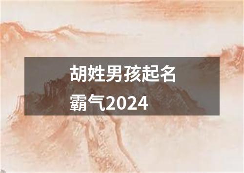 胡姓男孩起名霸气2024