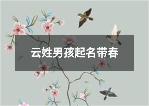 云姓男孩起名带春