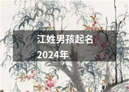 江姓男孩起名2024年