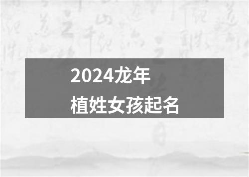 2024龙年植姓女孩起名