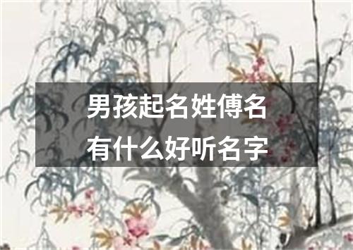 男孩起名姓傅名有什么好听名字