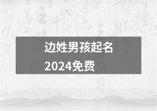 边姓男孩起名2024免费