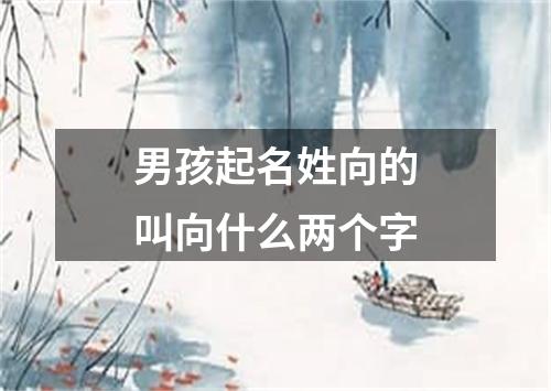 男孩起名姓向的叫向什么两个字