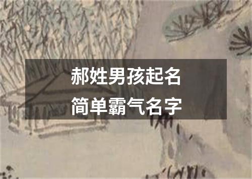 郝姓男孩起名简单霸气名字