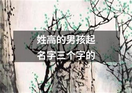 姓高的男孩起名字三个字的