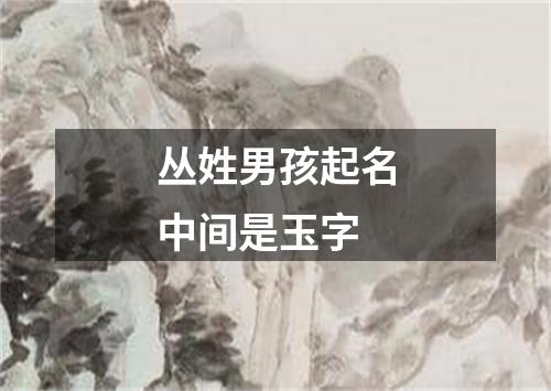 丛姓男孩起名中间是玉字