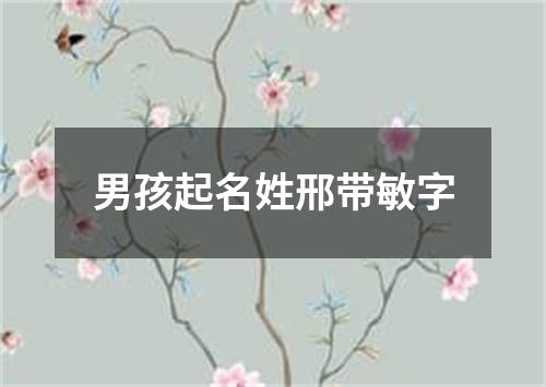 男孩起名姓邢带敏字