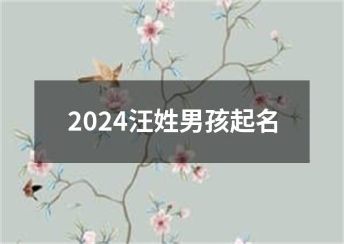 2024汪姓男孩起名