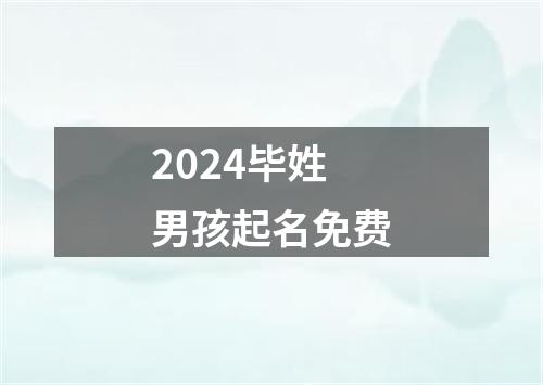 2024毕姓男孩起名免费