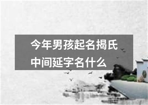 今年男孩起名揭氏中间延字名什么