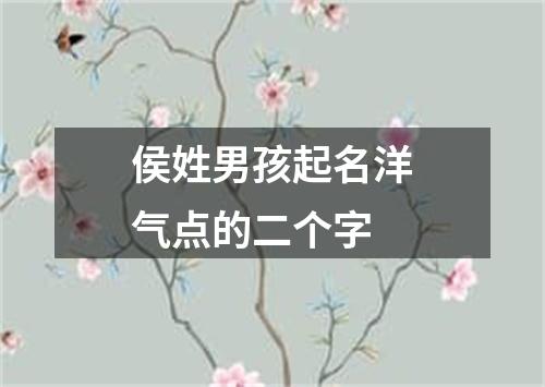 侯姓男孩起名洋气点的二个字