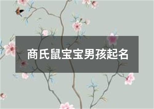 商氏鼠宝宝男孩起名