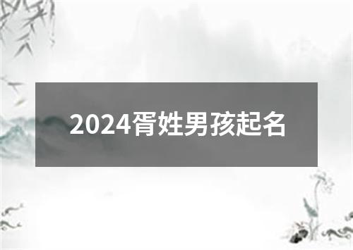 2024胥姓男孩起名