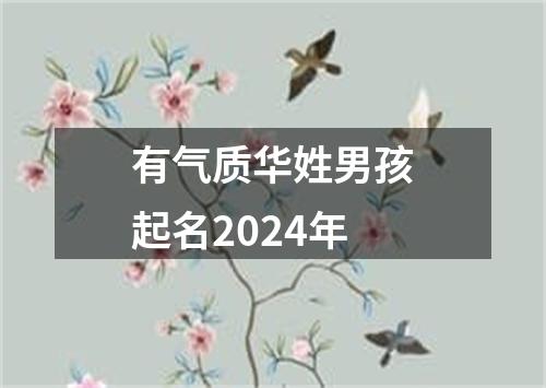 有气质华姓男孩起名2024年