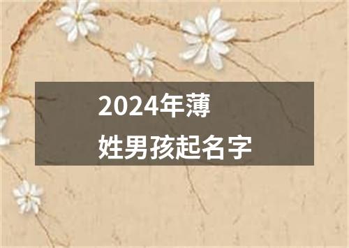 2024年薄姓男孩起名字