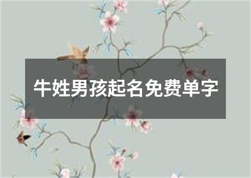 牛姓男孩起名免费单字