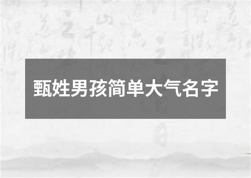 甄姓男孩简单大气名字