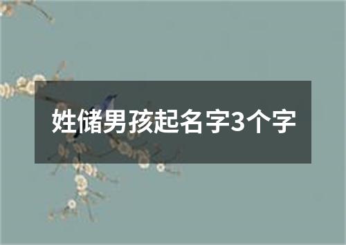 姓储男孩起名字3个字