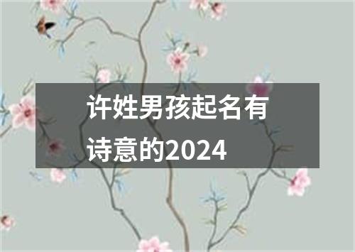 许姓男孩起名有诗意的2024