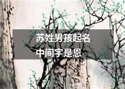 苏姓男孩起名中间字是恩