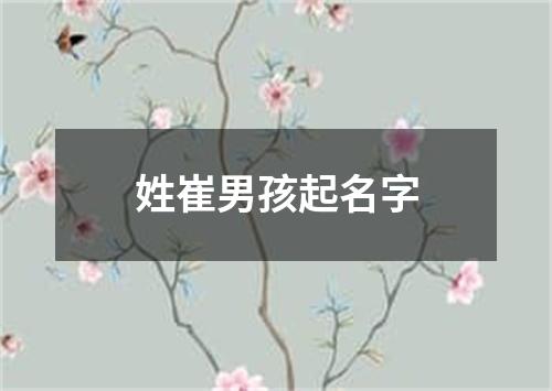 姓崔男孩起名字