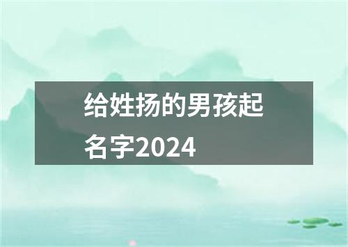 给姓扬的男孩起名字2024