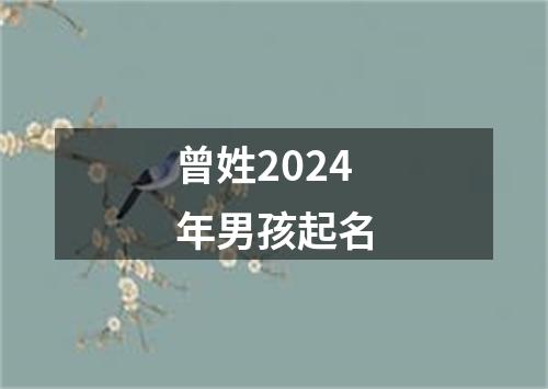 曾姓2024年男孩起名