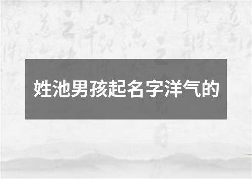 姓池男孩起名字洋气的