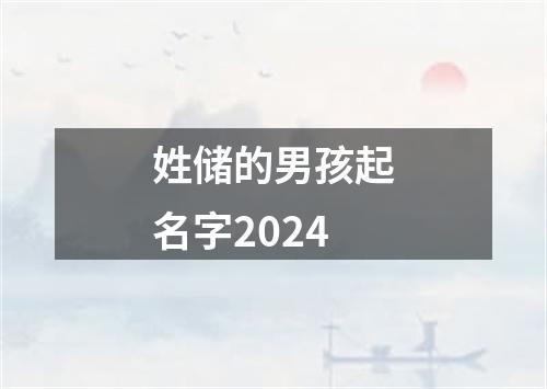 姓储的男孩起名字2024