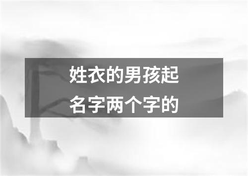 姓衣的男孩起名字两个字的