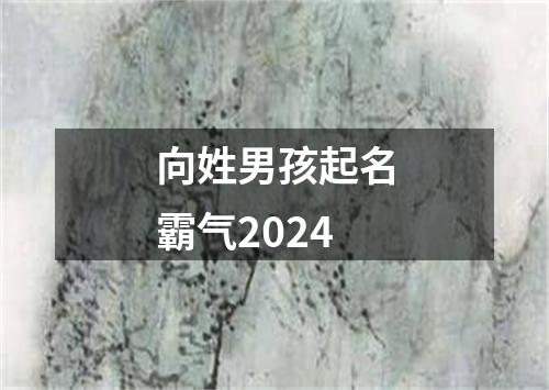 向姓男孩起名霸气2024