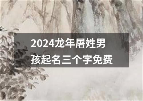 2024龙年屠姓男孩起名三个字免费