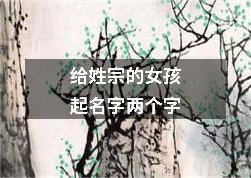 给姓宗的女孩起名字两个字