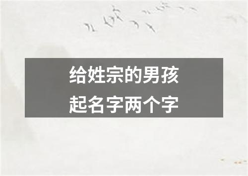 给姓宗的男孩起名字两个字