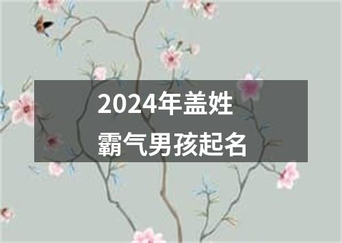 2024年盖姓霸气男孩起名