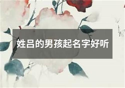 姓吕的男孩起名字好听